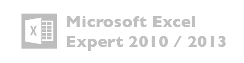 Microsoft Excel Expert versiones 2010, 2013